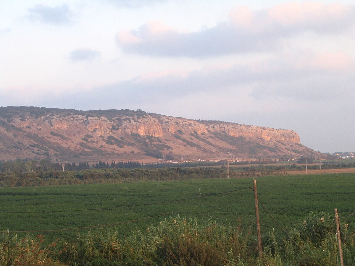 https://upload.wikimedia.org/wikipedia/commons/thumb/5/5b/Caiobadner_-_mount_carmel.JPG/1200px-Caiobadner_-_mount_carmel.JPG